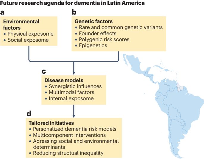 Environmental–genetic interactions in ageing and dementia across Latin America