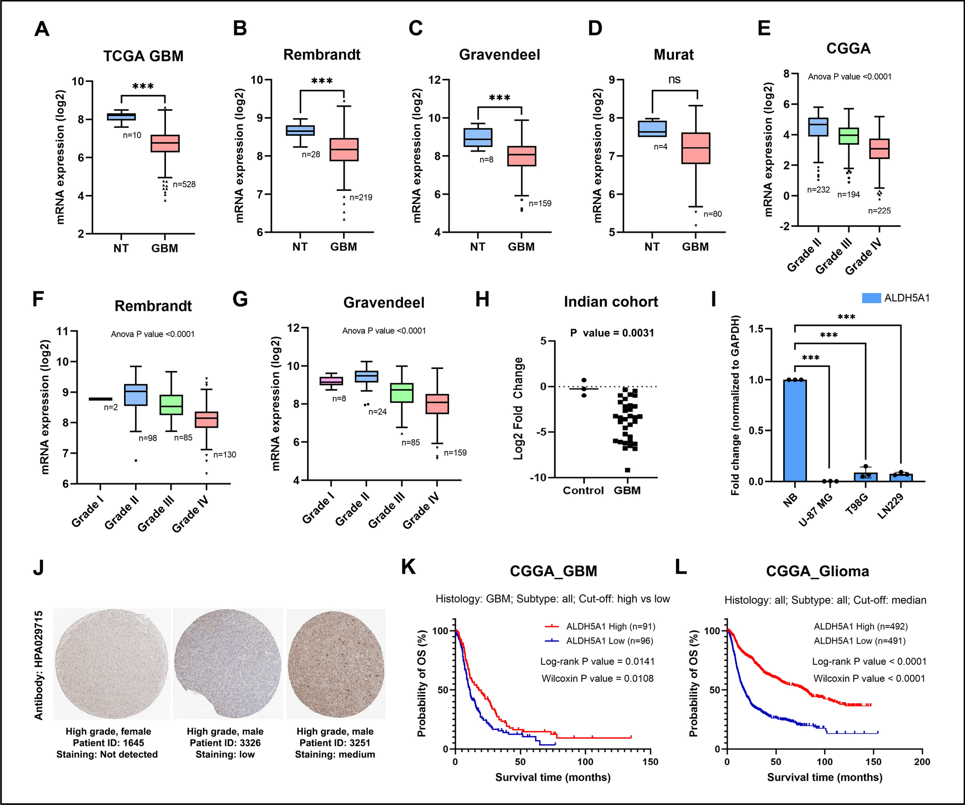 ALDH5A1/miR-210 axis plays a key role in reprogramming cellular metabolism and has a significant correlation with glioblastoma patient survival