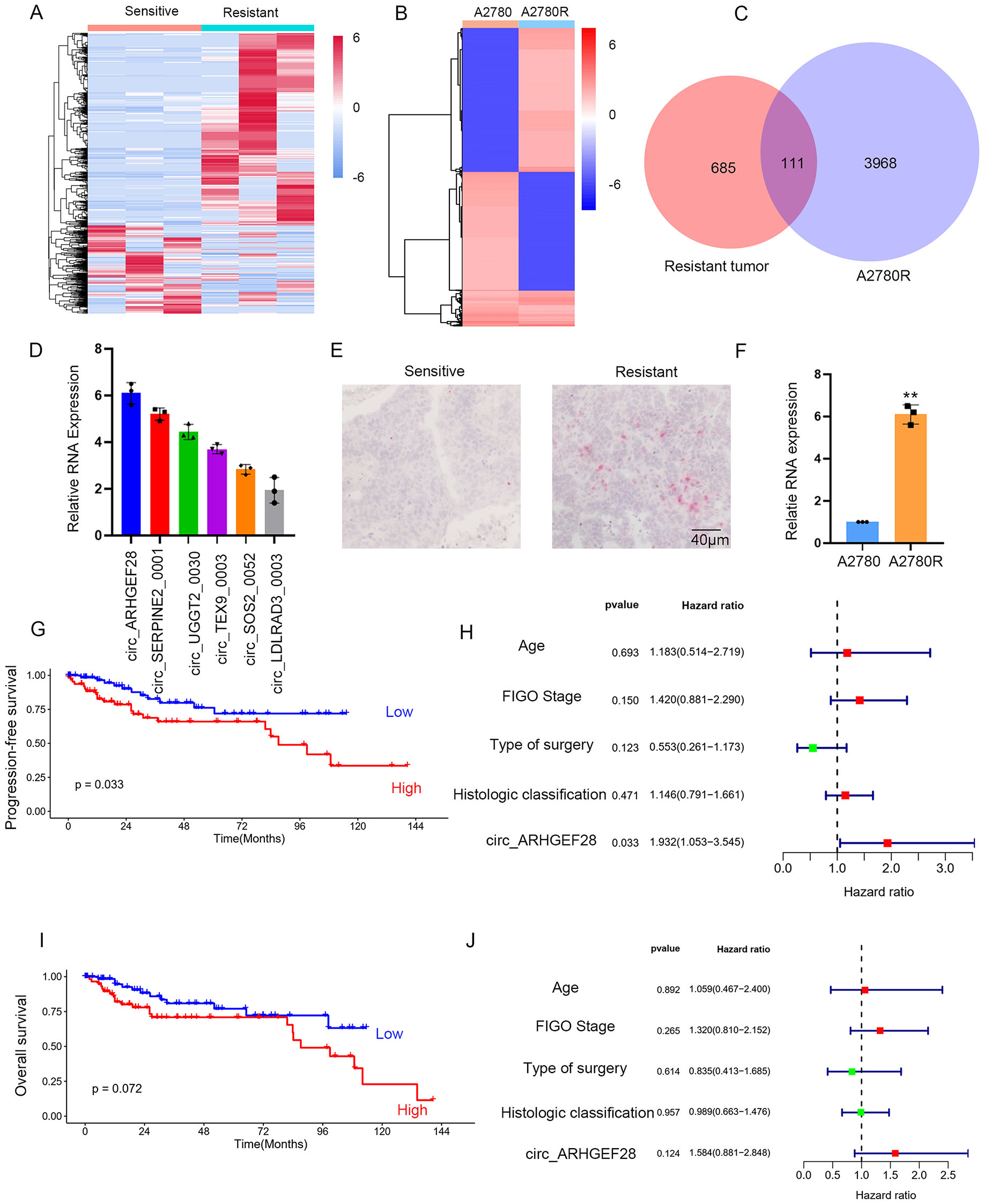 Circular RNA circ_ARHGEF28 inhibits MST1/2 dimerization to suppress Hippo pathway to induce cisplatin resistance in ovarian cancer