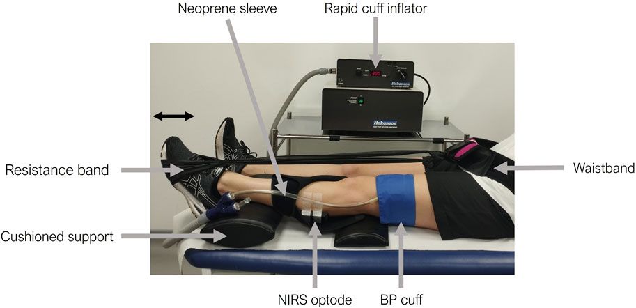 Near-infrared spectroscopy (NIRS) in vivo assessment of skeletal muscle oxidative capacity: a comparison of results from short versus long exercise protocols and reproducibility in non-athletic adults