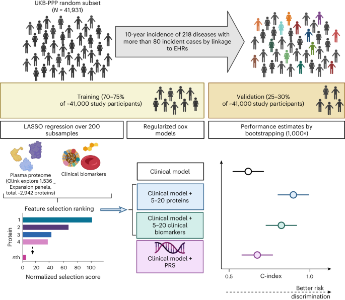 Proteomic signatures improve risk prediction for common and rare diseases