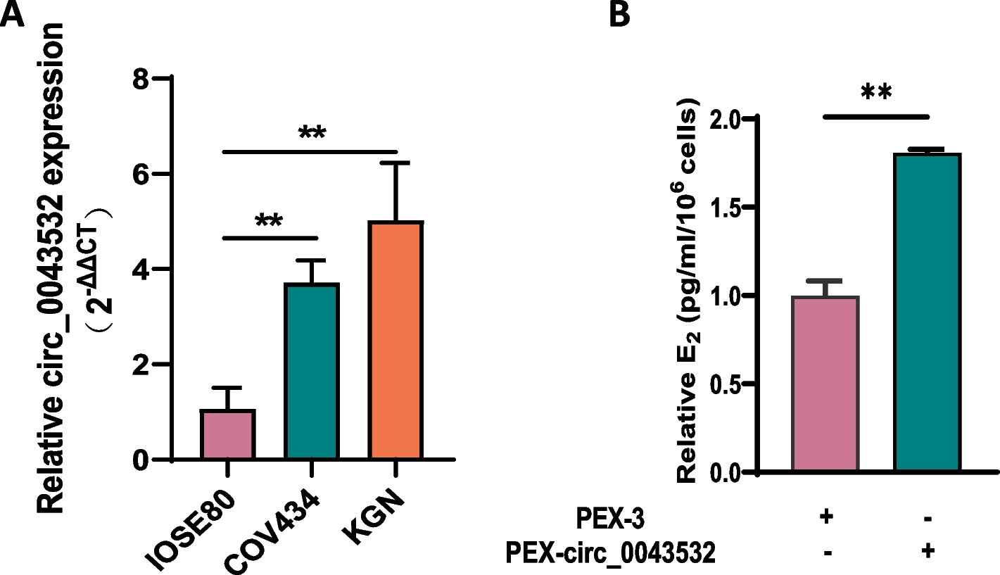 Hsa_circ_0043532 contributes to PCOS through upregulation of CYP19A1 by acting as a ceRNA for hsa-miR-1270