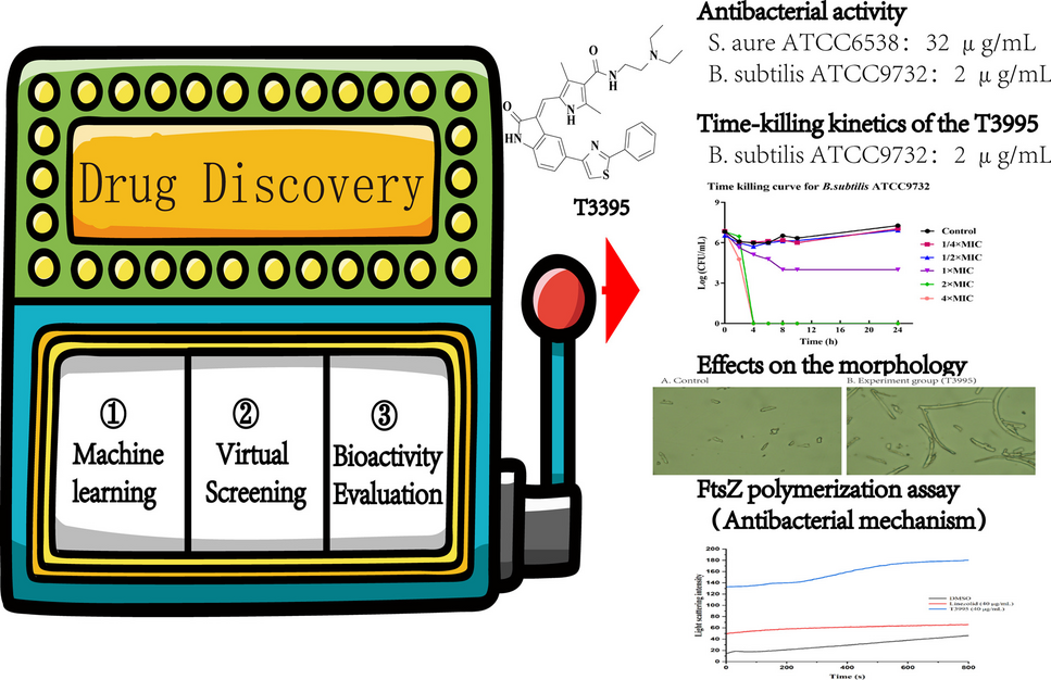 In silico method and bioactivity evaluation to discover novel antimicrobial agents targeting FtsZ protein: Machine learning, virtual screening and antibacterial mechanism study
