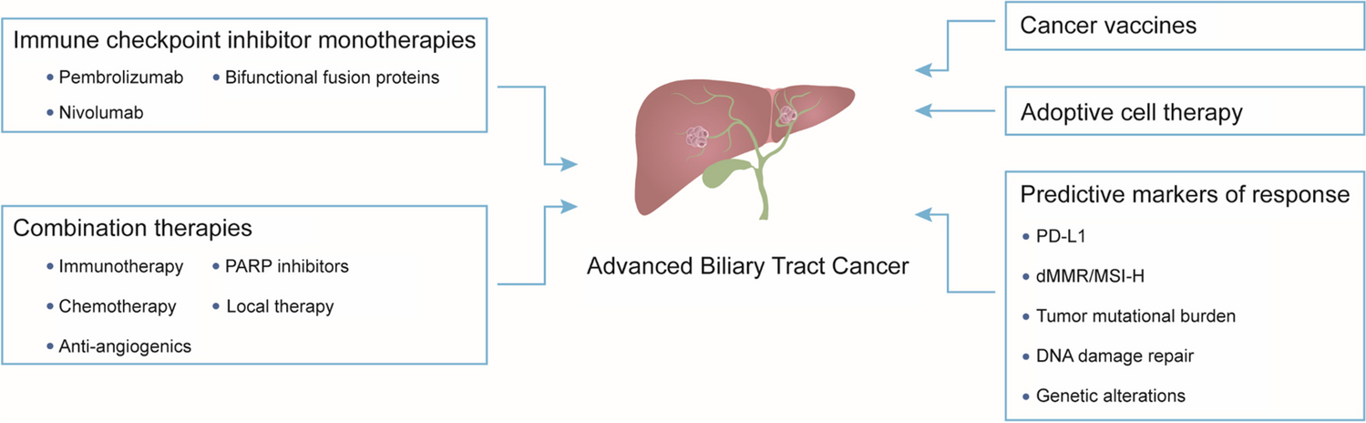 Recent Advances in Immunotherapy for Advanced Biliary Tract Cancer