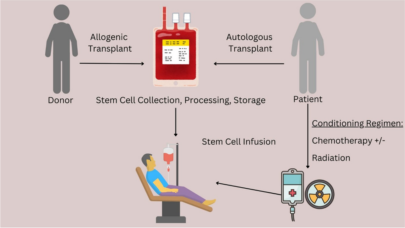 Cardiovascular Considerations in Patients Undergoing Hematopoietic Cell Transplantation