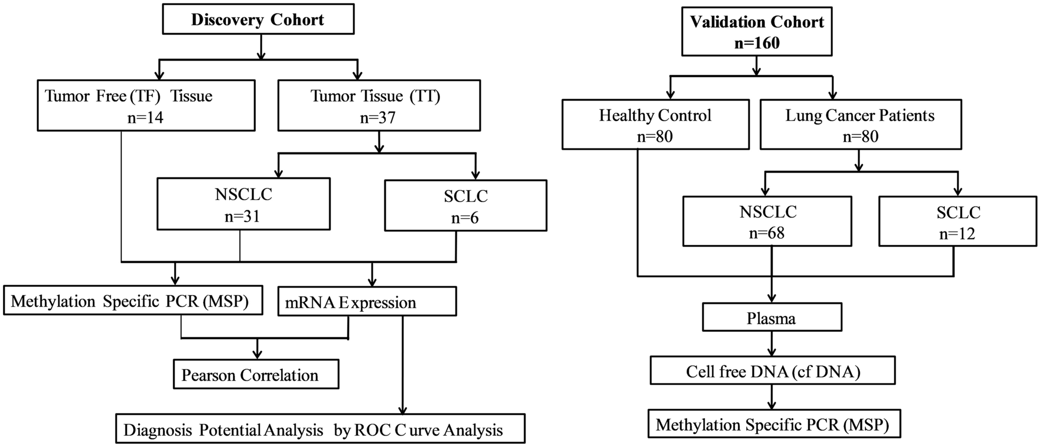 Assessment of Circulating Cell Free DNA Methylation Biomarker of Panel of Selected Genes for Lung Cancer Detection