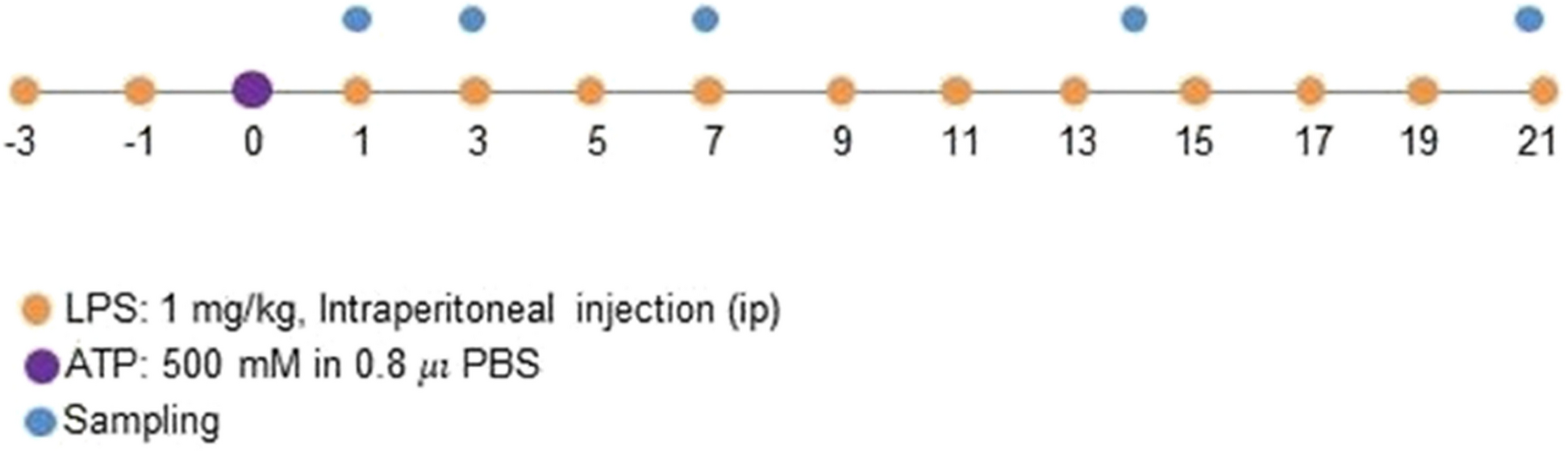 Systemic inflammation attenuates the repair of damaged brains through reduced phagocytic activity of monocytes infiltrating the brain