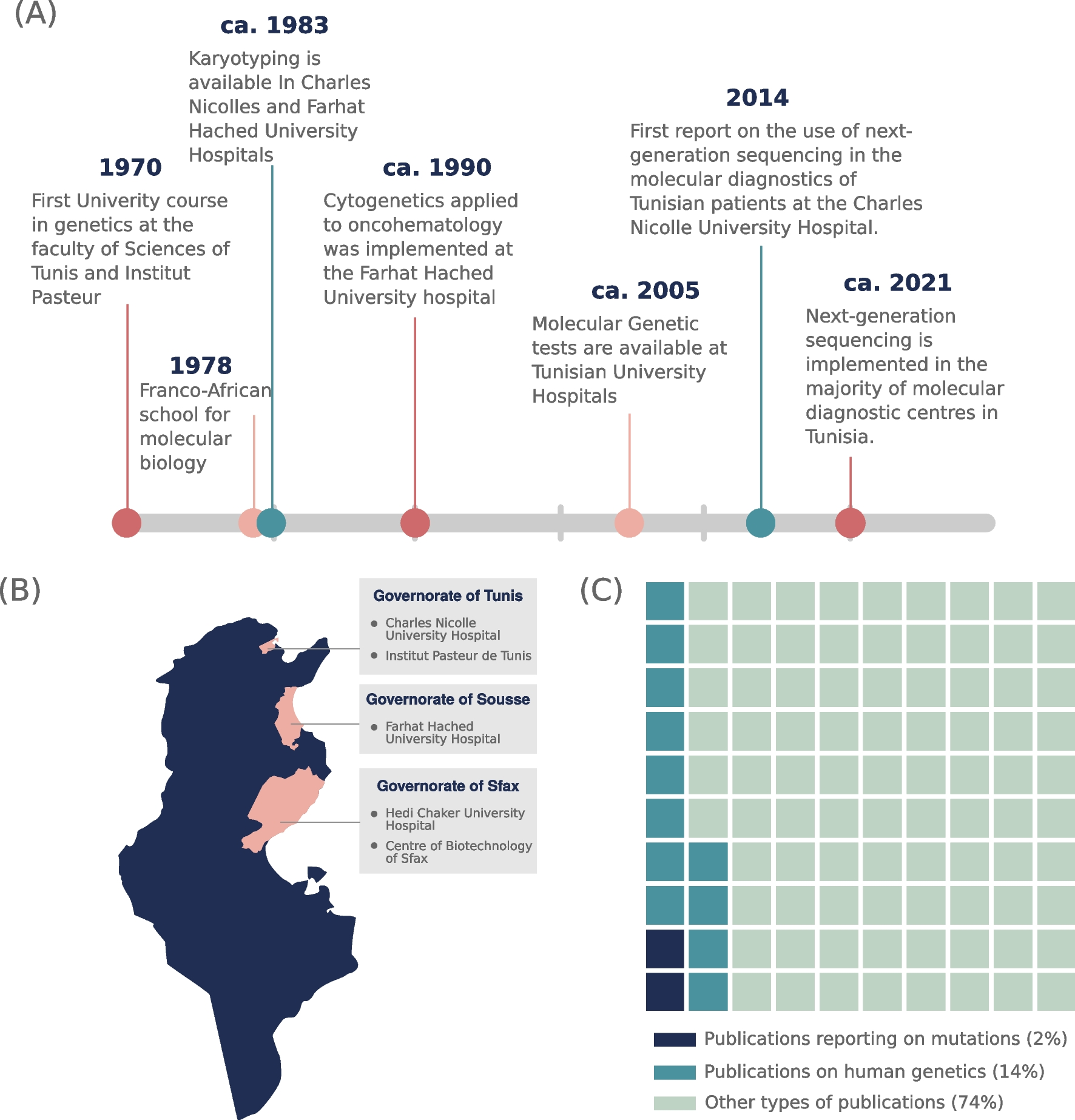 Is Tunisia ready for precision medicine? Challenges of medical genomics within a LMIC healthcare system