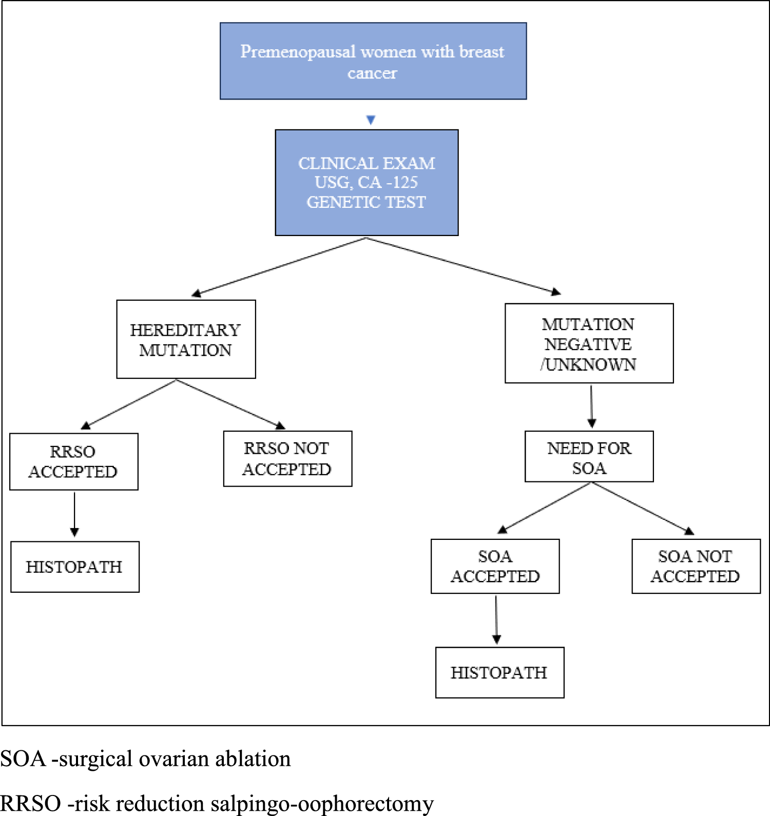 Ovarian/Tubal Pathology in Premenopausal Women with Breast Cancer: A Prospective Study