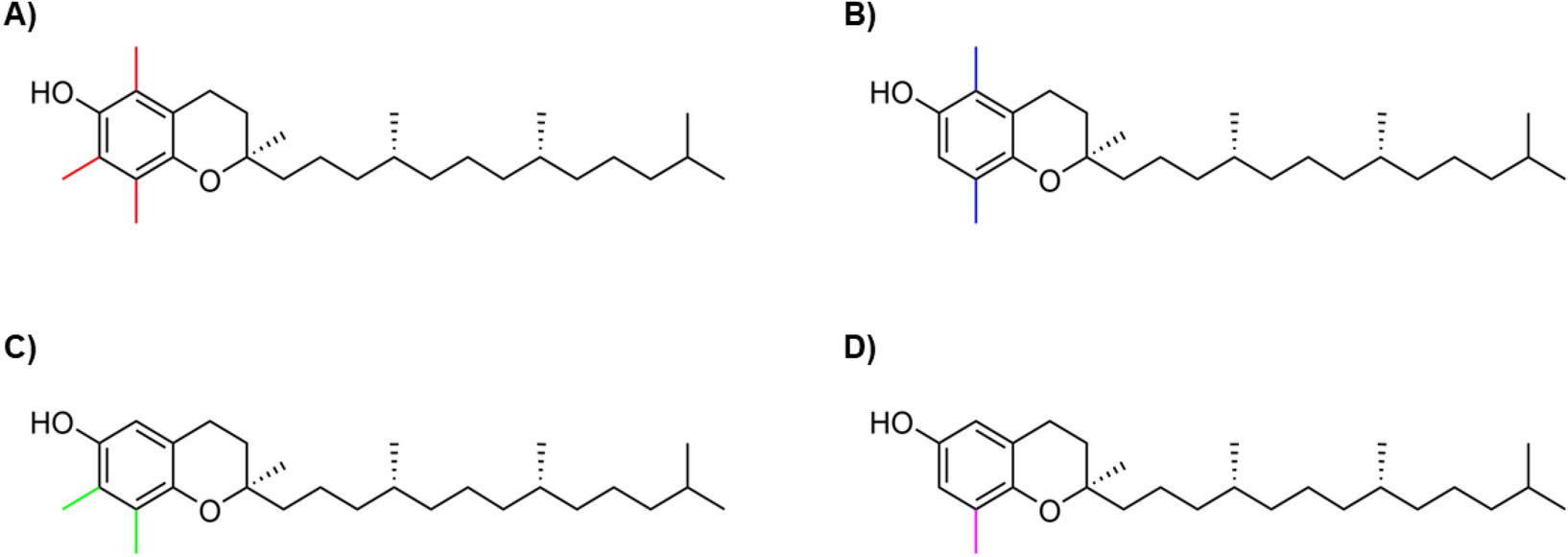 Exploring the potential of tocopherols: mechanisms of action and perspectives in the prevention and treatment of breast cancer