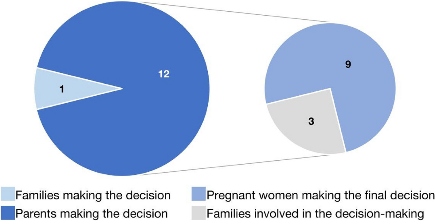 What are they considering when they face a fetus with birth defects? A qualitative study on ethical attitudes of health professionals in China