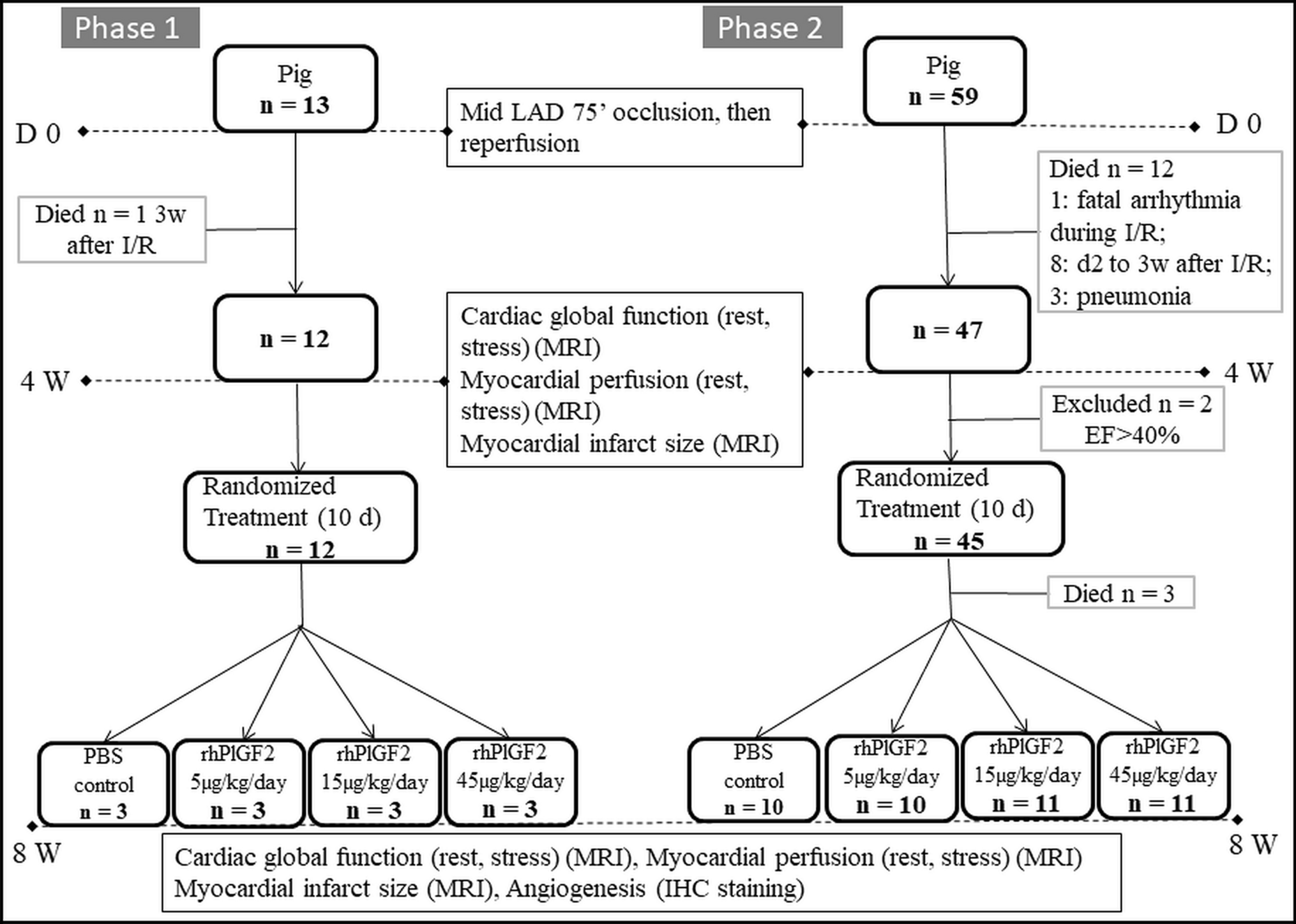 Recombinant human placental growth factor-2 in post-infarction left ventricular dysfunction: a randomized, placebo-controlled, preclinical study