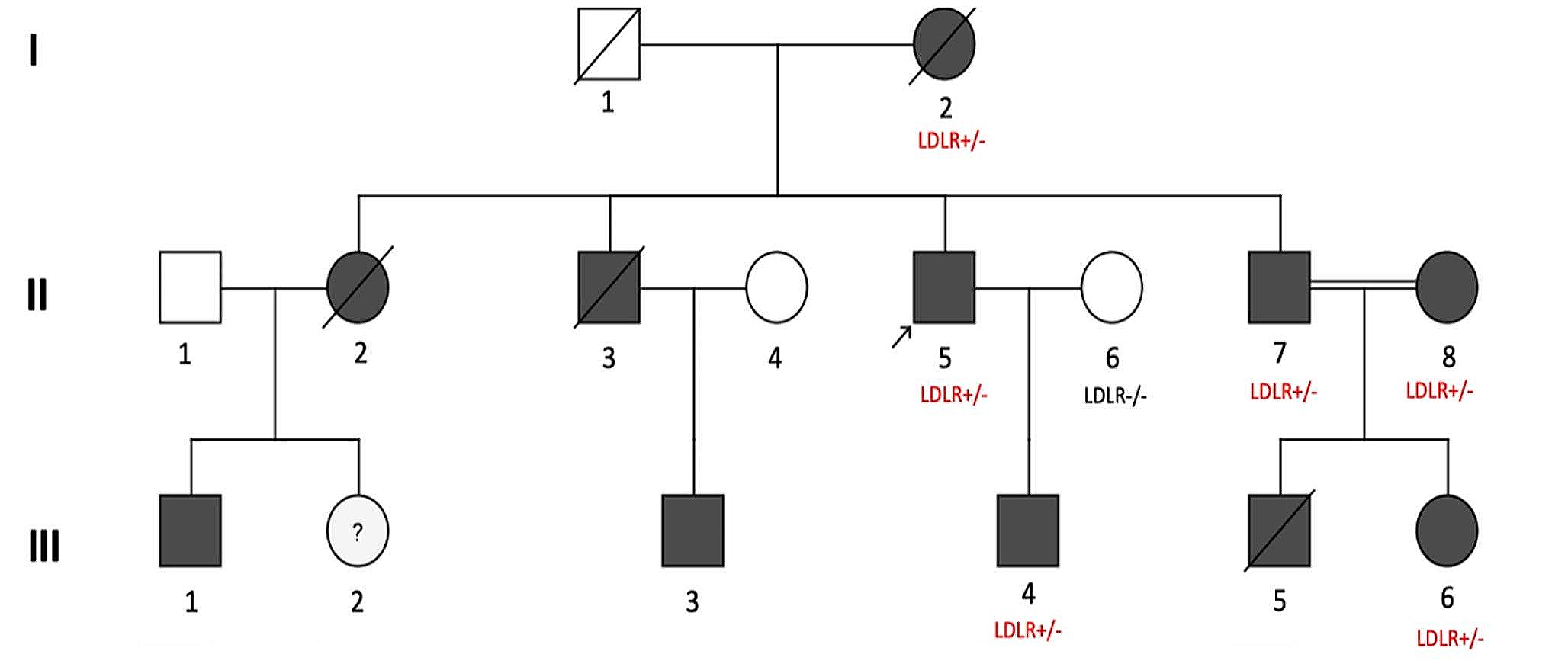 Likelihood of a Novel Pathogenic LDLR Mutant Allele Inherited Preferentially within an Indian Family with Familial Hypercholesterolemia