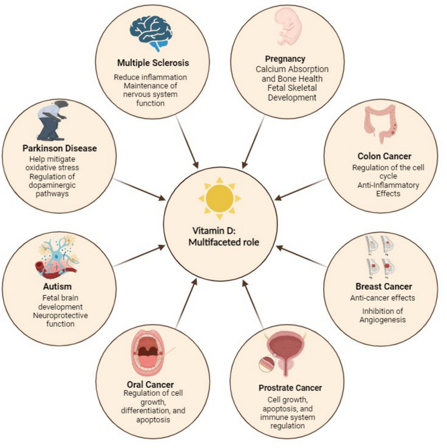 Vitamin D in Disease Prevention and Cure-Part I: An Update on Molecular Mechanism and Significance on Human Health