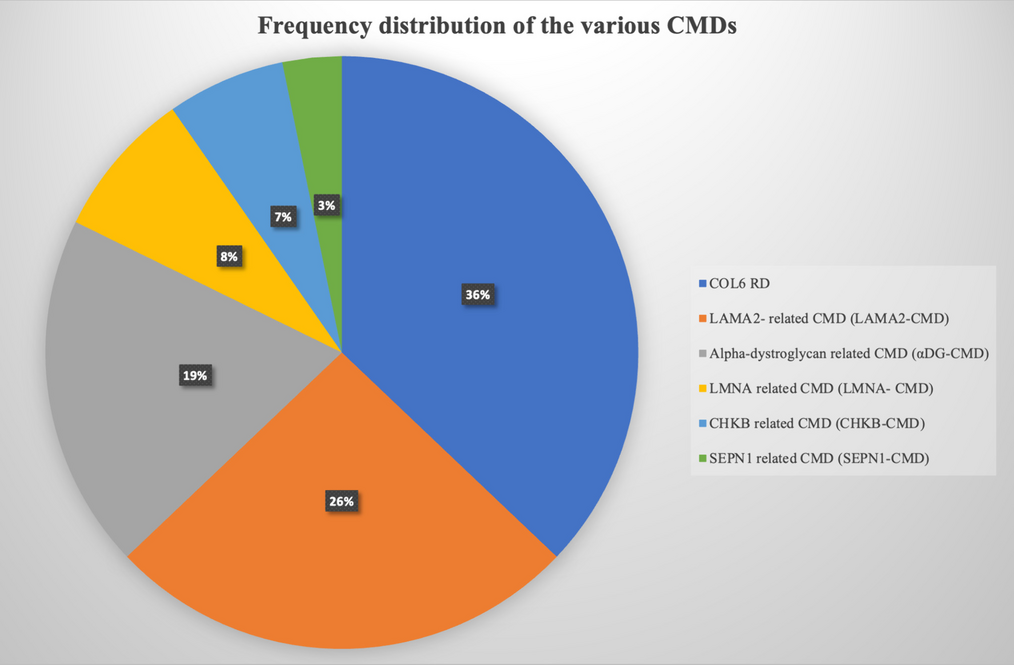 Phenotype-genotype spectrum of a cohort of congenital muscular dystrophies: a single-centre experience from India