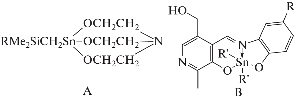 Synthesis, Spectral, and Structural Investigations and Anticancer Activity In Vitro of the New Organotin Complexes