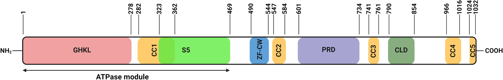 Emerging roles of the chromatin remodeler MORC2 in cancer metabolism