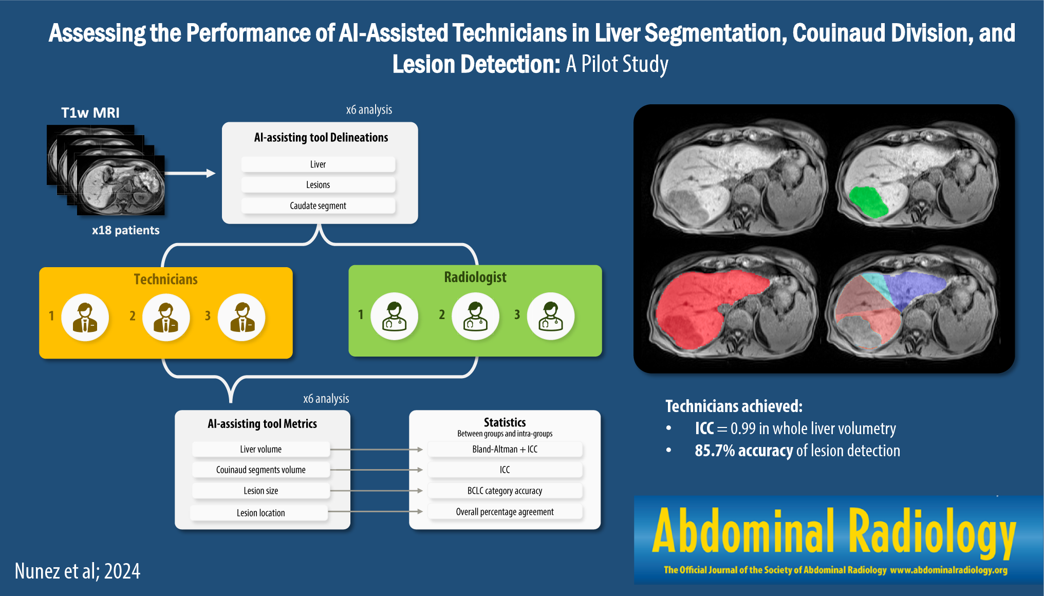 Assessing the performance of AI-assisted technicians in liver segmentation, Couinaud division, and lesion detection: a pilot study