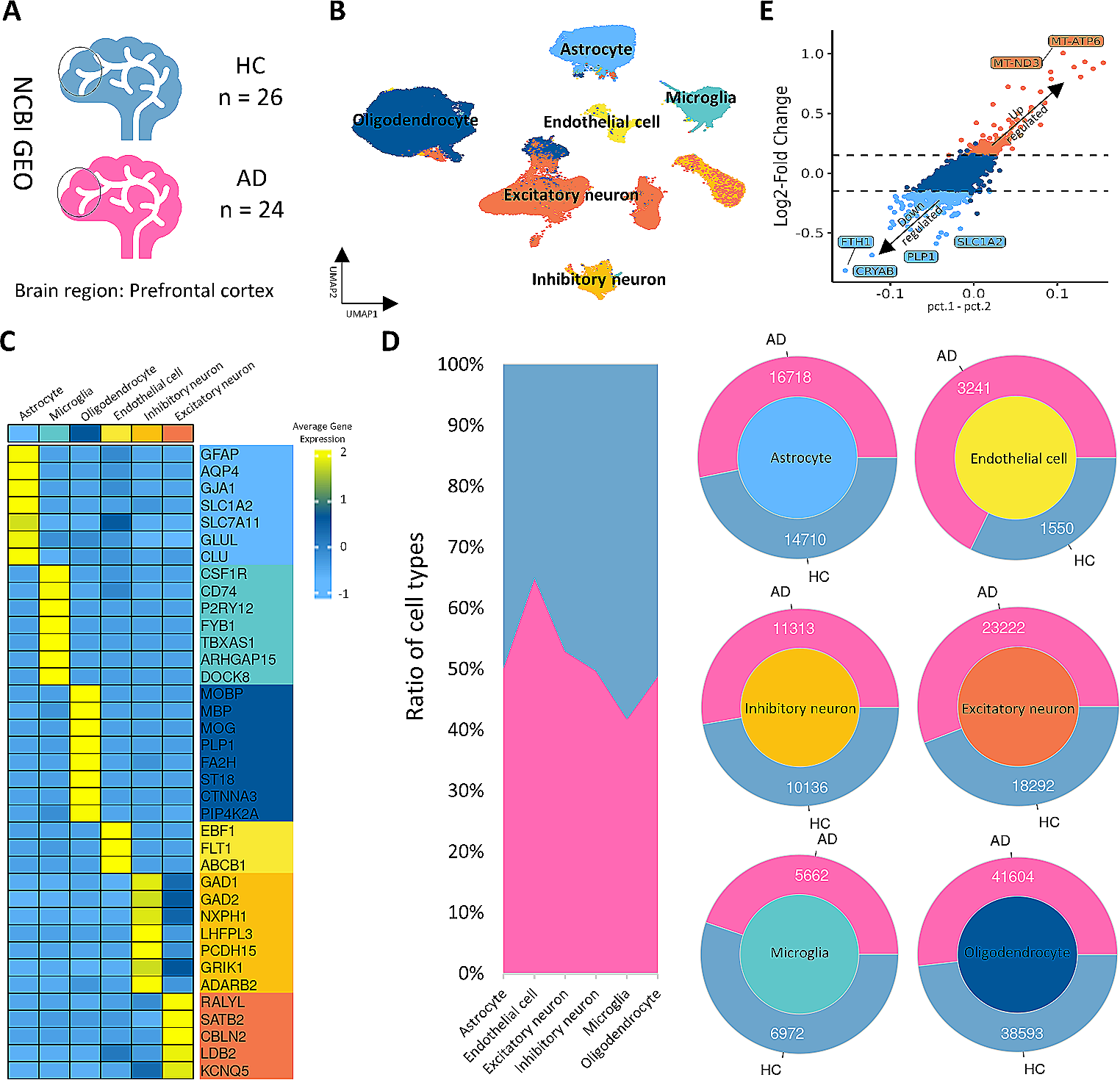 Bulk-RNA and single-nuclei RNA seq analyses reveal the role of lactate metabolism-related genes in Alzheimer’s disease