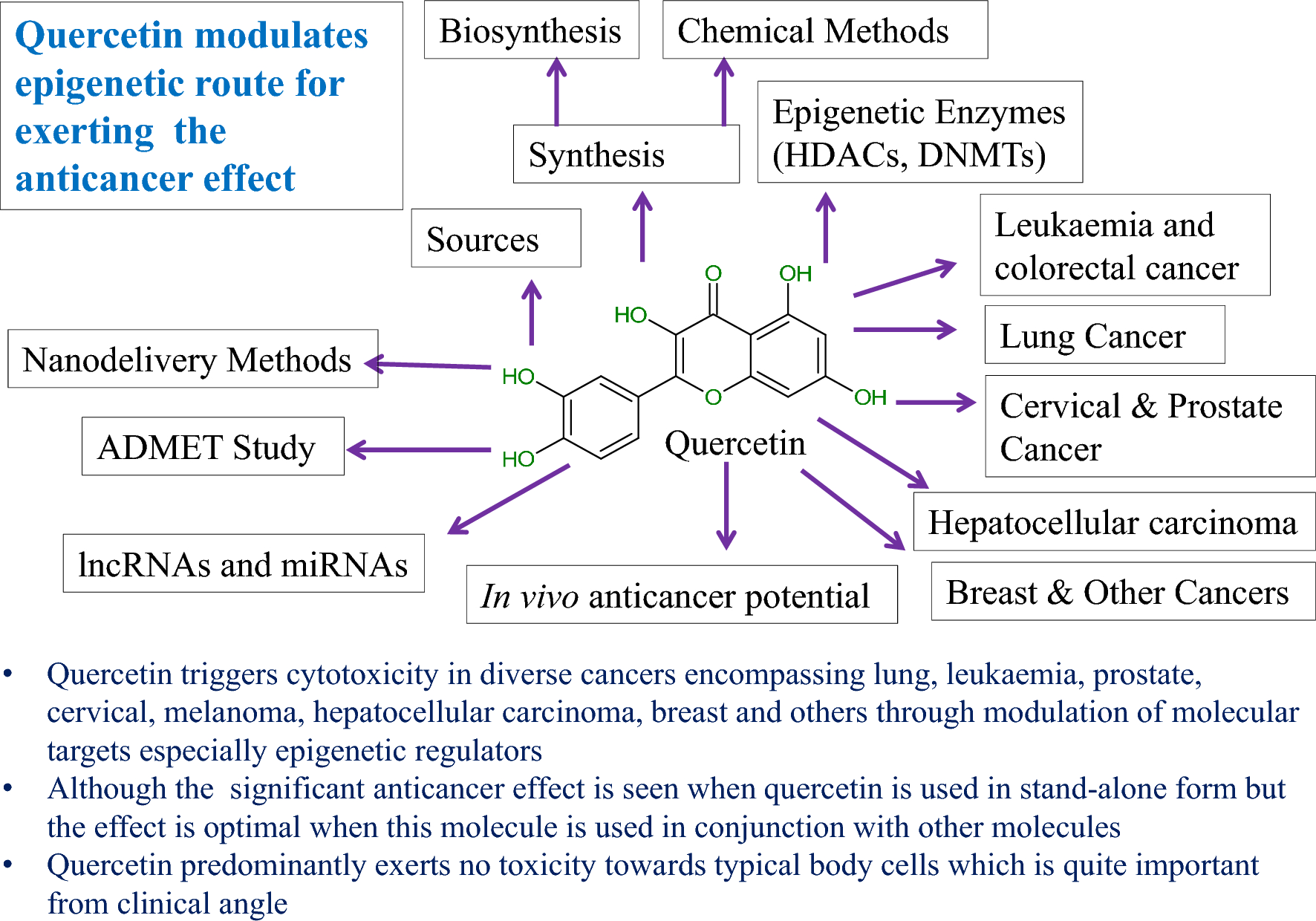 Plant flavonol quercetin engenders cytotoxic effect in different pre-clinical cancer models through modulation of diverse epigenetic regulators