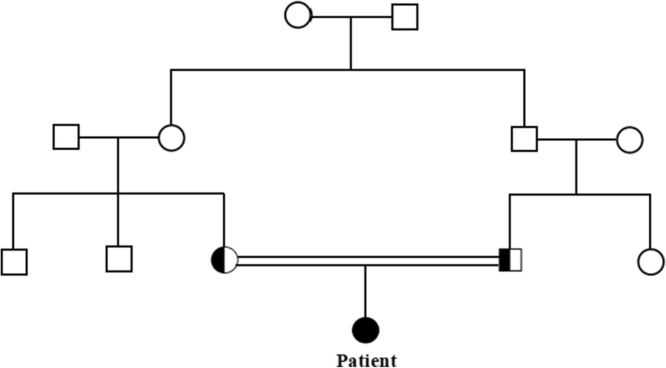 New mutations and new phenotypes: a case of Major Histocompatibility Complex Class II Deficiency