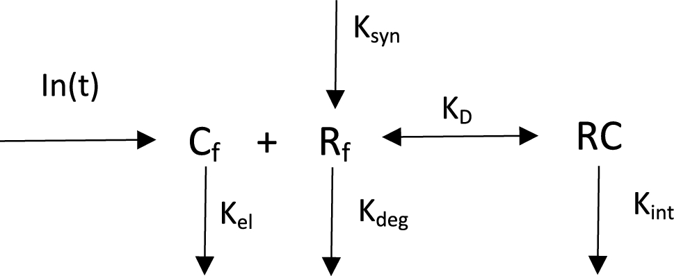 General quasi-equilibrium multivalent binding model to study diverse and complex drug-receptor interactions of biologics