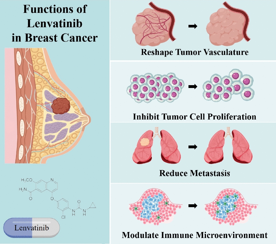 The potential of lenvatinib in breast cancer therapy