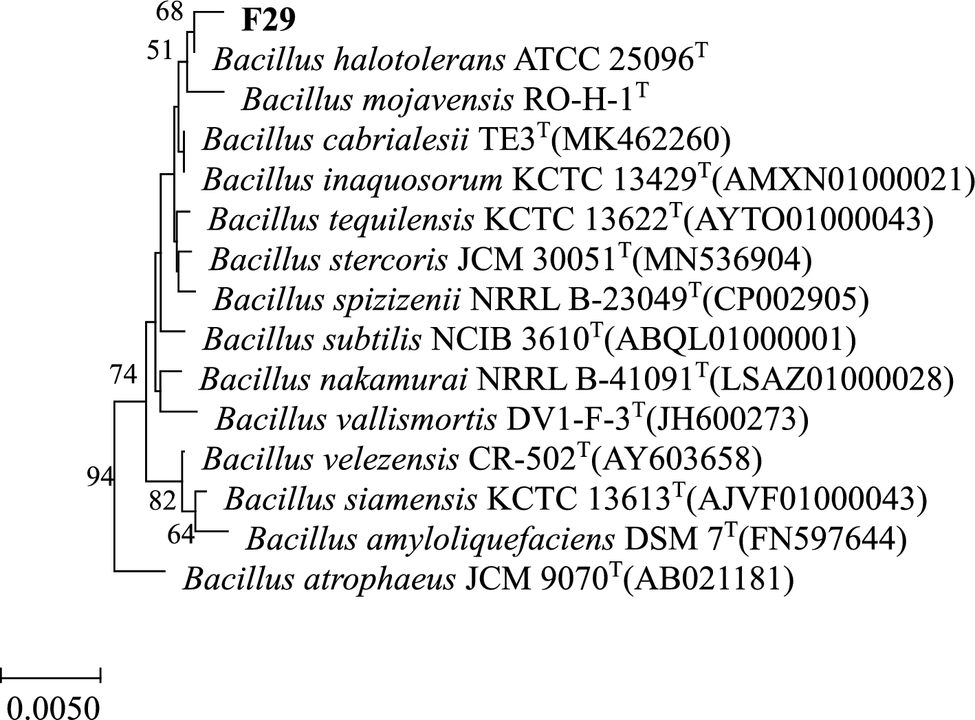 Enhanced Poly-γ-Glutamic Acid Production by a Newly Isolated Bacillus halotolerans F29