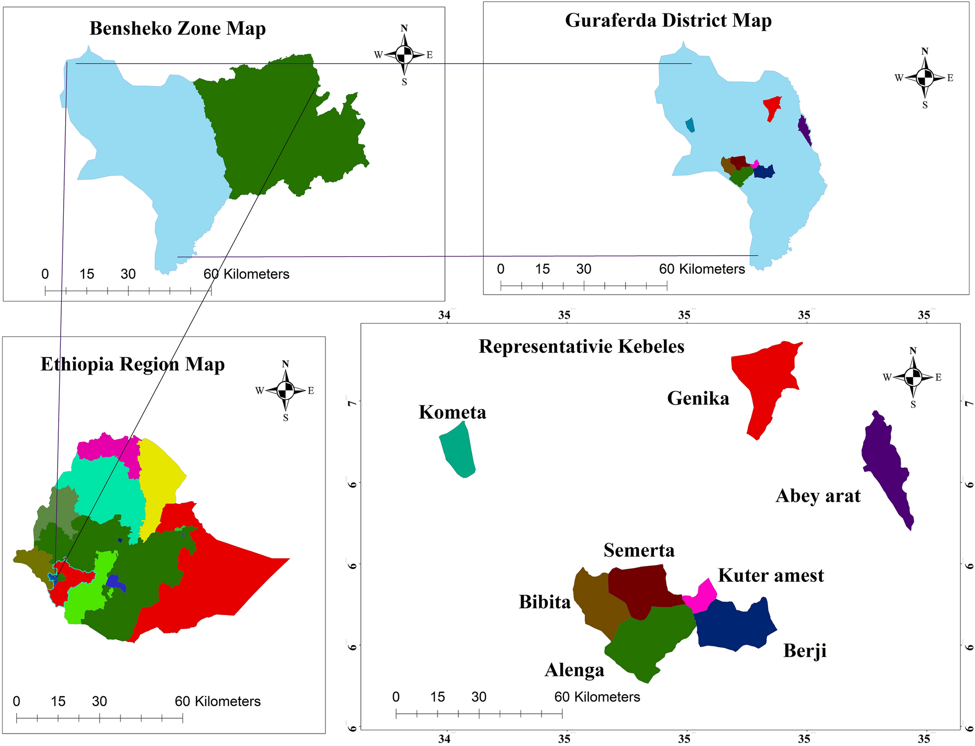 Traditionally used medicinal plants for human ailments and their threats in Guraferda District, Benchi-Sheko zone, Southwest Ethiopia