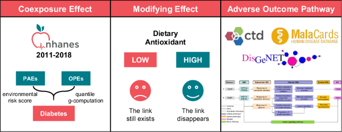 Potential mechanisms and modifications of dietary antioxidants on the associations between co-exposure to plastic additives and diabetes