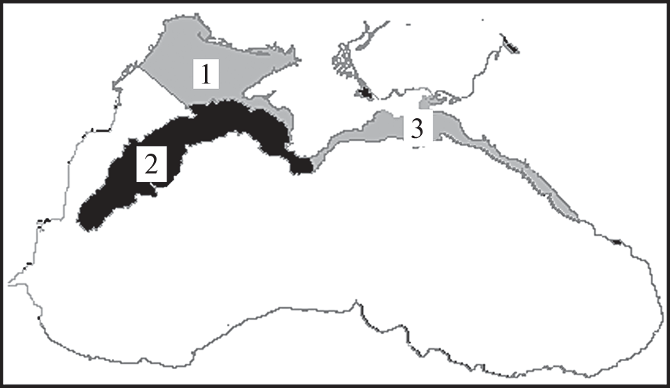 Influence of Atmospheric Precipitation and Surface Runoff on Phytoplankton Characteristics in the Northern Part of the Black Sea