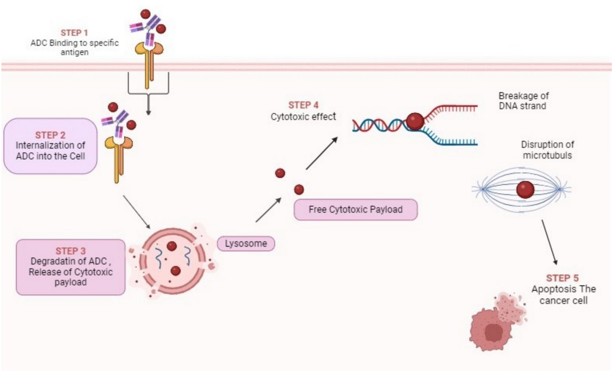 Advances in immunotoxin engineering: precision therapeutic strategies in modern oncology