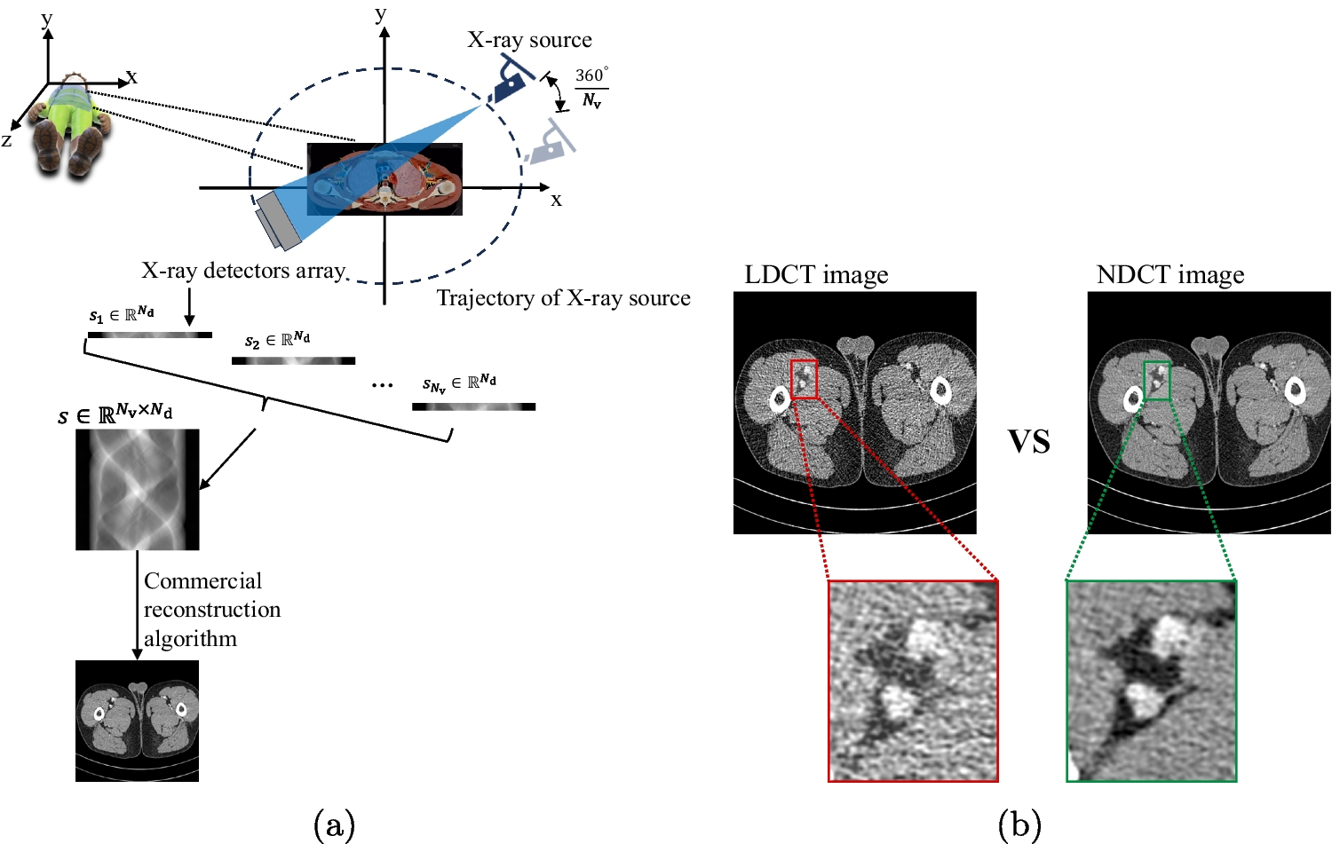 Unsupervised and Self-supervised Learning in Low-Dose Computed Tomography Denoising: Insights from Training Strategies