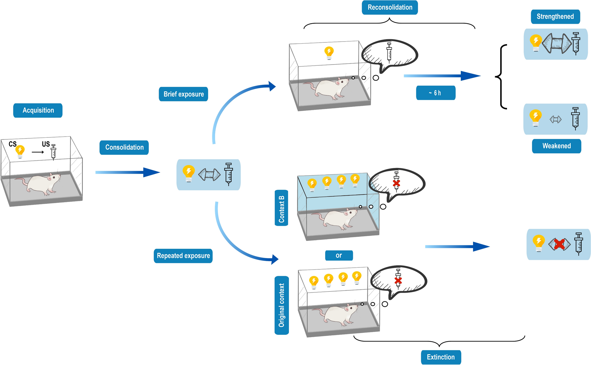 Memory Reconsolidation Updating in Substance Addiction: Applications, Mechanisms, and Future Prospects for Clinical Therapeutics