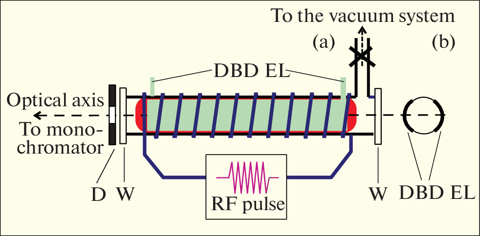 Estimate of the Rate of Collisional-Radiative Recombination of Doubly Charged Ne++ Ions from the Results of a Spectroscopic Experiment