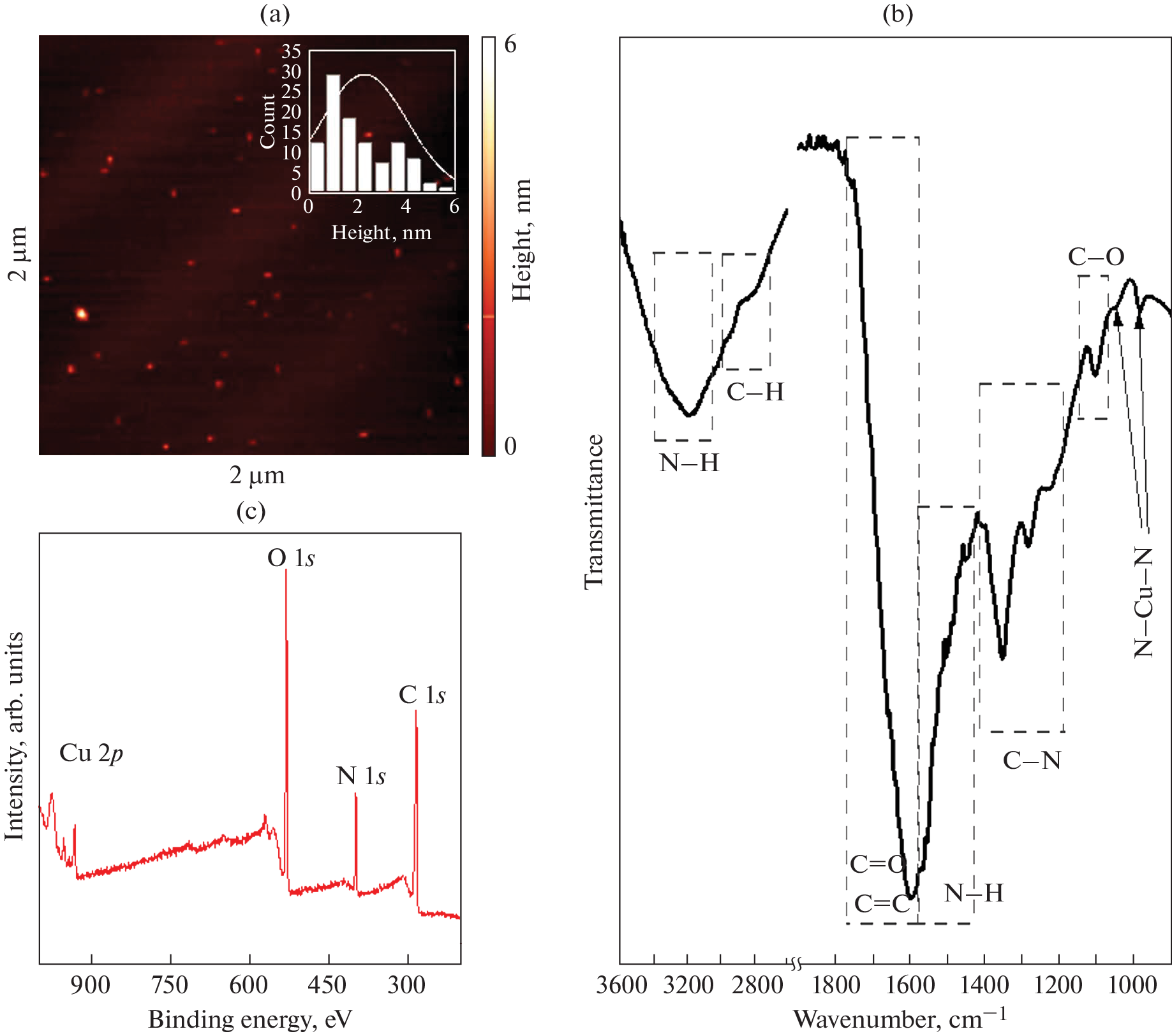 Copper-Doped Carbon Nanoparticles as a Two-Modal Nanoprobe for Luminescent and Magnetic Resonance Imaging