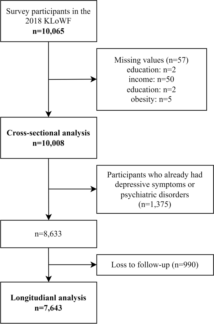 Neighborhood Safety Concerns and the Onset of Depressive Symptoms Among Women: A Population-based Prospective Cohort Study in South Korea