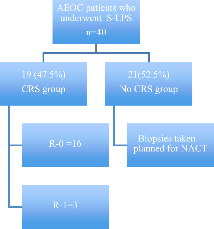 Clinical Usefulness of Fagotti’s Predictive Index Value, and Its Correlation with CT Based Peritoneal Cancer Index: Experience from a Tertiary Care Oncology Center in South India