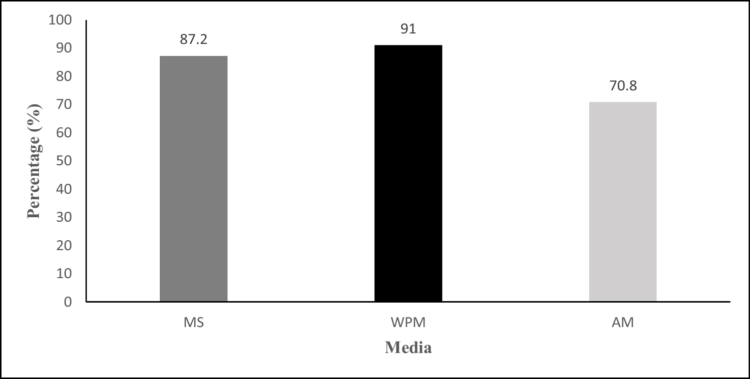 Assessment of genetic stability of micropropagated Rhododendron formosum Wall.—an endemic plant to Eastern Himalaya