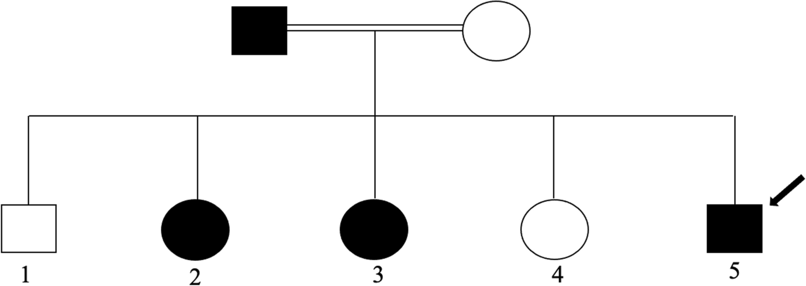 The rare association of congenital glaucoma, giant melanocytic nevus, alopecia, and hypospadias in an Egyptian child with neurofibromatosis type 1: a case report