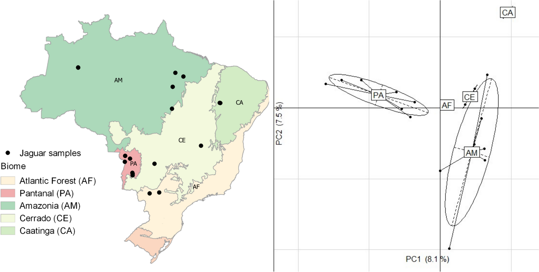 Comparative assessment of genotyping-by-sequencing and whole-exome sequencing for estimating genetic diversity and geographic structure in small sample sizes: insights from wild jaguar populations