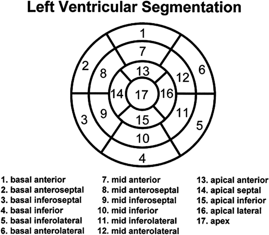 Society for Cardiovascular Magnetic Resonance (SCMR) guidelines for reporting cardiovascular magnetic resonance examinations