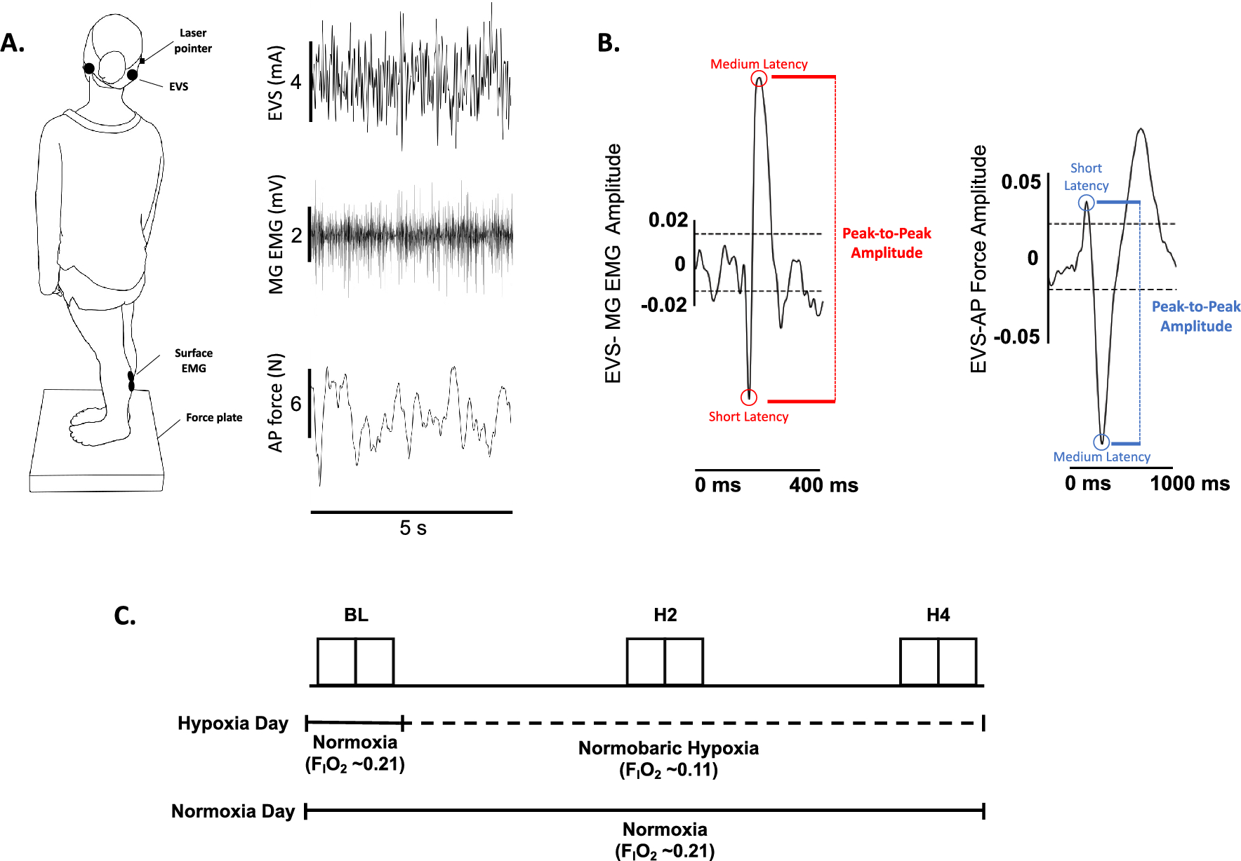 The effects of four hours of normobaric hypoxia on the vestibular control of balance