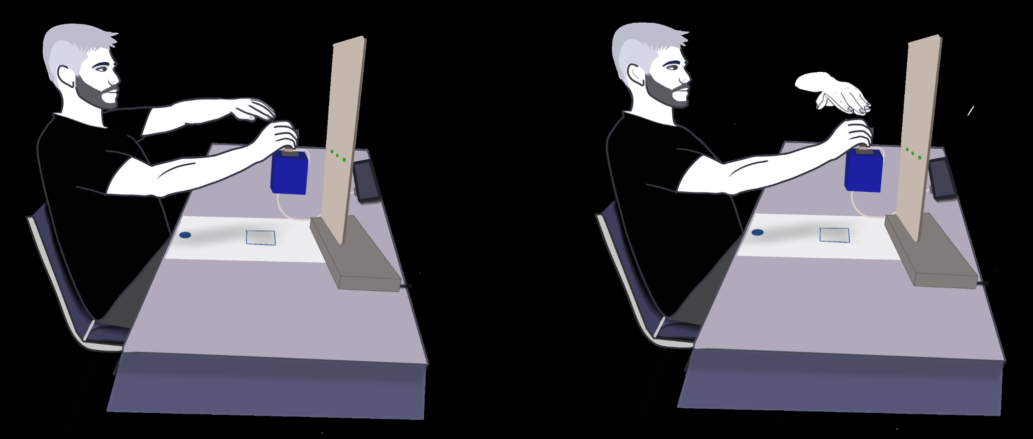 I tap myself, and you tap me: bimanual predictive and reactive grip force control as a function of age