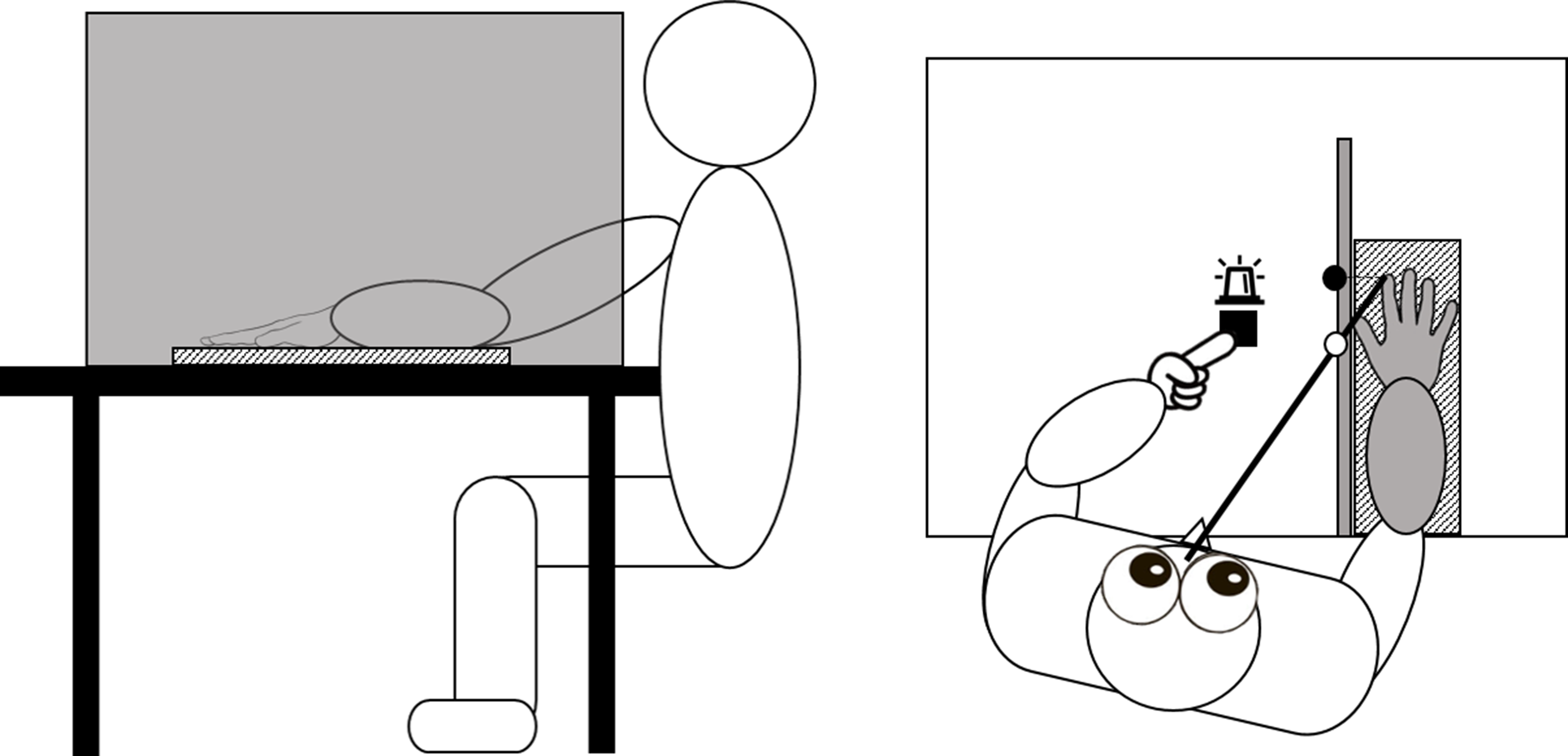 Eyes and hand are both reliable at localizing somatosensory targets