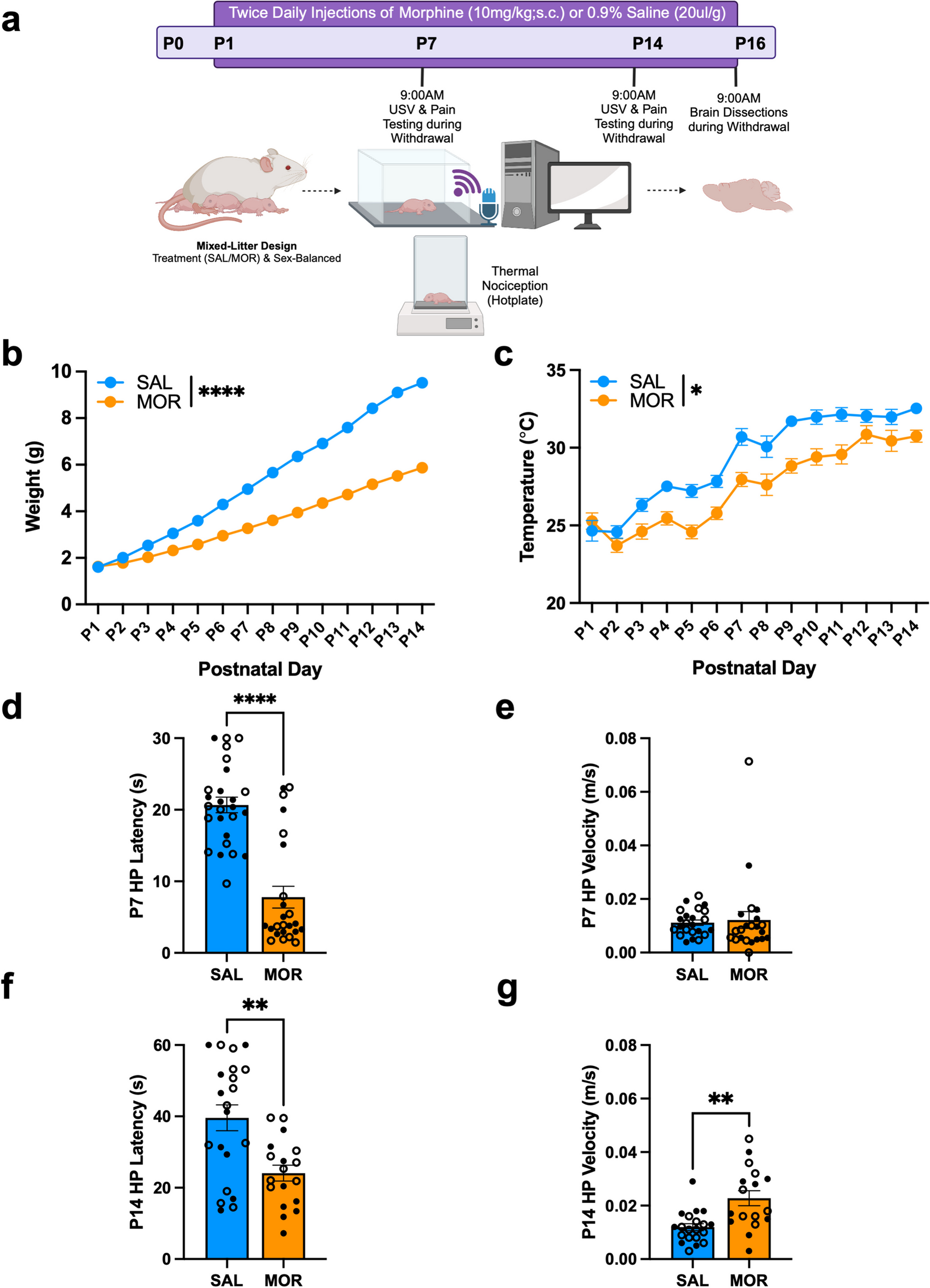 The ultrasonic vocalization (USV) syllable profile during neonatal opioid withdrawal and a kappa opioid receptor component to increased USV emissions in female mice