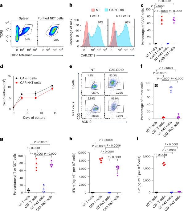 CAR-redirected natural killer T cells demonstrate superior antitumor activity to CAR-T cells through multimodal CD1d-dependent mechanisms