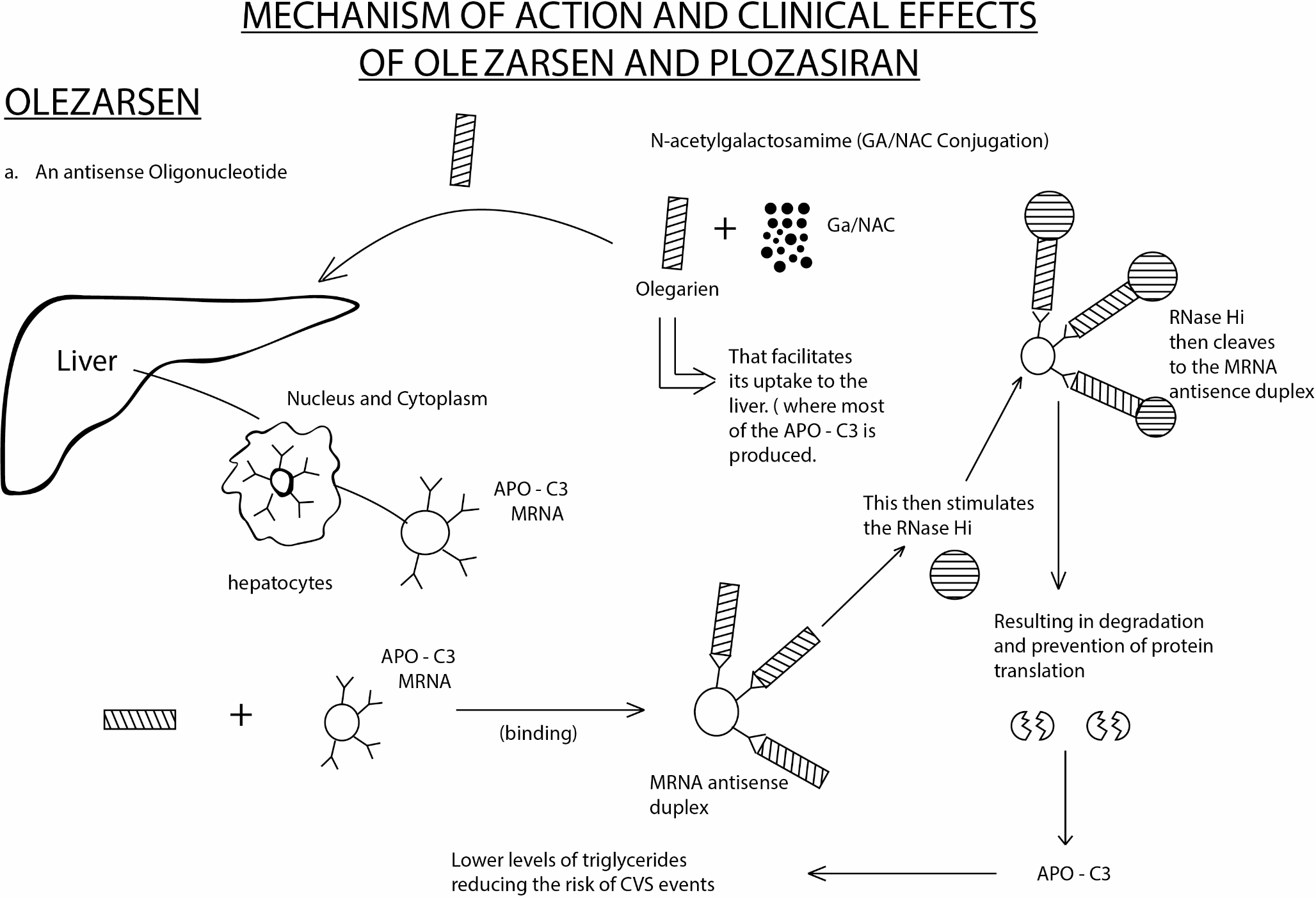 Olezarsen and Plozasiran in Dyslipidemia Management: A Narrative Review of Clinical Trials