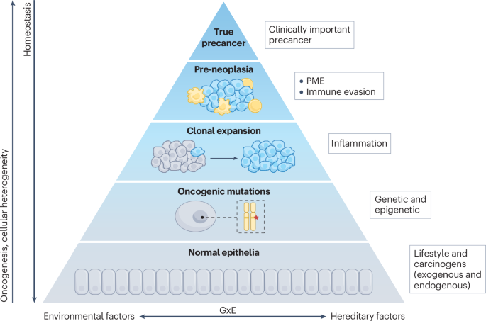 Defining precancer: a grand challenge for the cancer community