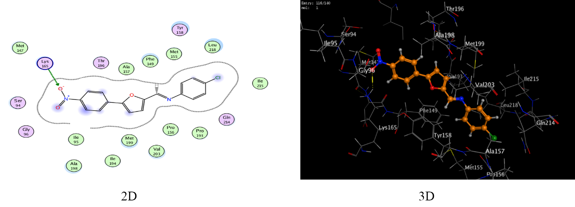 Unveiling the Antitubercular Potential of Furan–Nitrophenyl Schiff Base Hybrids: A Molecular Docking and Drug-Likeness Perspective